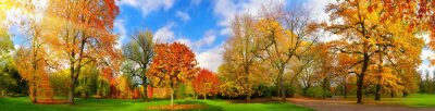 Die Farben des Herbstes in einem malerischen Park
