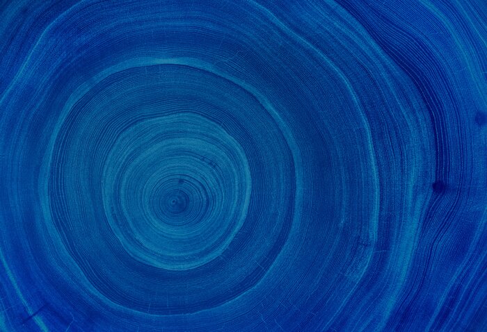 Fototapete Die Textur eines geschnittenen Baumstamms