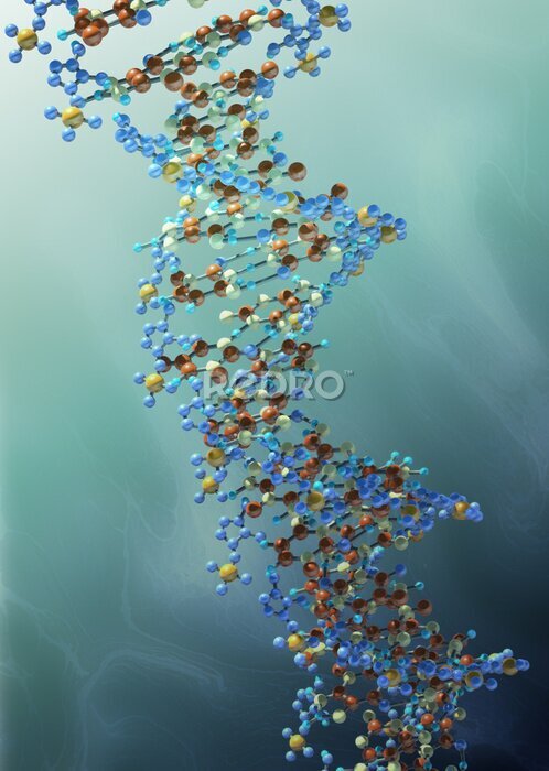 Fototapete DNA-Strang