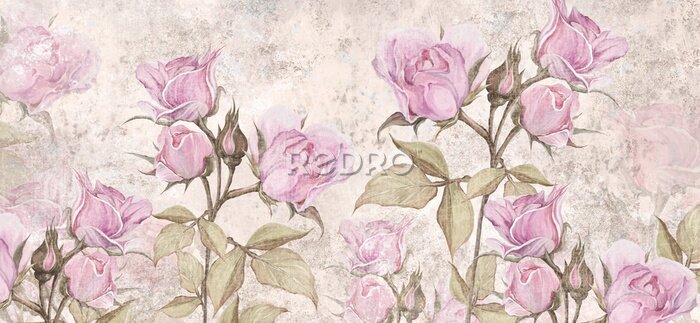 Fototapete Drawn vintage roses , photo wallpaper
