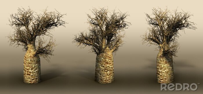 Fototapete Drei Bäume auf grauem Hintergrund