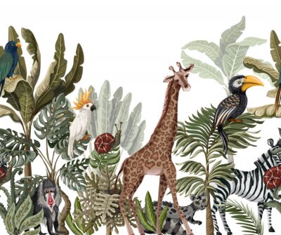 Dschungel Giraffe und andere Tiere