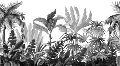 Dschungel graue Zeichnung