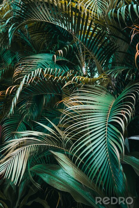 Fototapete Dschungel graues und grünes Muster