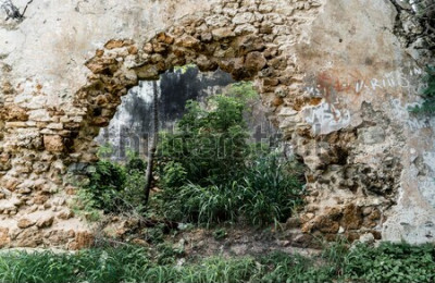 Fototapete Dschungel hinter einem Loch in der Wand