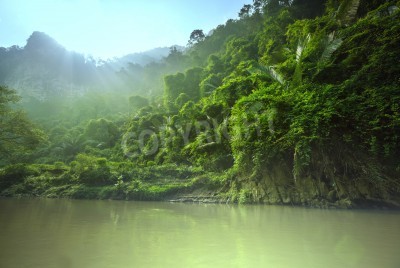 Fototapete Dschungel in Vietnam
