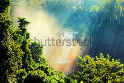 Fototapete Dschungel Tropen