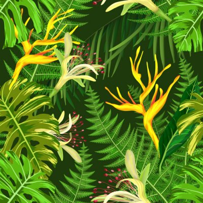 Dschungel und tropische Pflanzen