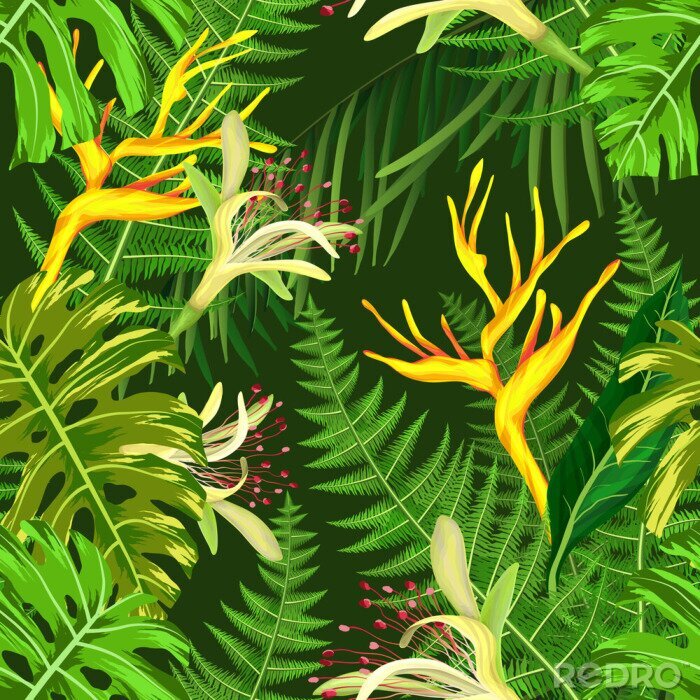 Fototapete Dschungel und tropische Pflanzen