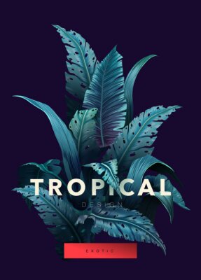 Dschungel und tropische Schrift
