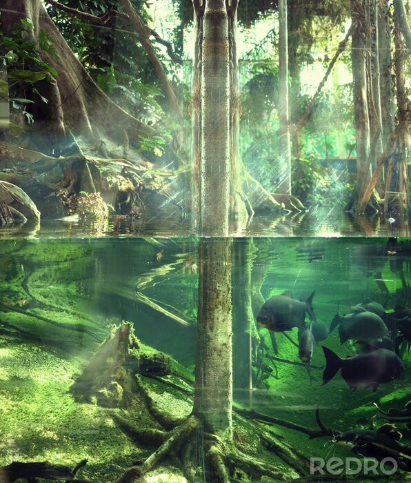 Fototapete Dschungel unter Wasser
