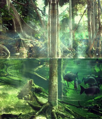 Fototapete Dschungel unter Wasser