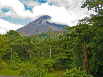 Fototapete Dschungel vor dem Hintergrund des Vulkans