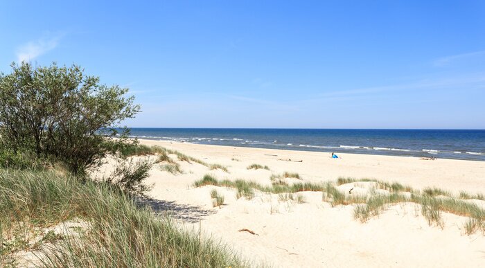 Fototapete Dünen Grün und Strand