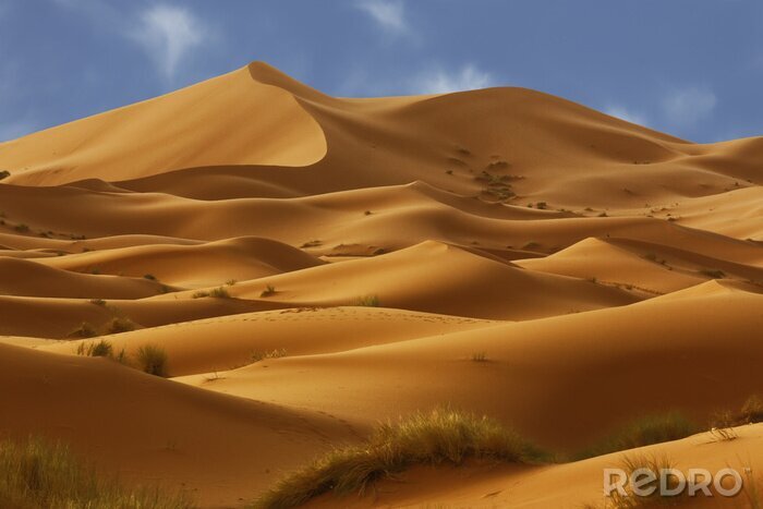 Fototapete Dünen in der Wüste Sahara