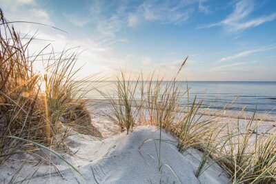 Fototapete Dünen, Sand, Meer und trockenes Gras