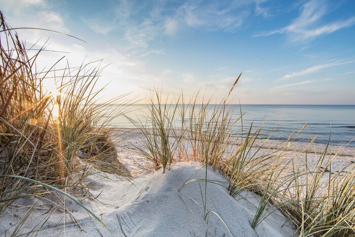Fototapete Dünen, Sand, Meer und trockenes Gras