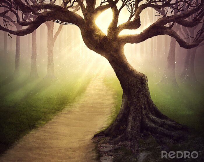 Fototapete Düsterer Baum