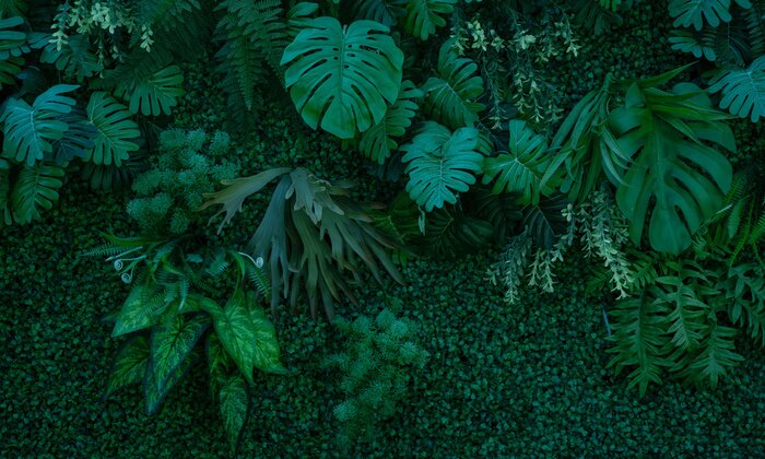 Fototapete Dunkelgrüne Wand