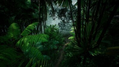 Dunkelgrüner Dschungel