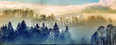 Fototapete Dunkle bäume auf farbigem hintergrund