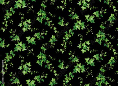 Fototapete Dunkle Efeuranken