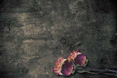 Fototapete Dunkle Mauer mit abstrakten Rosen