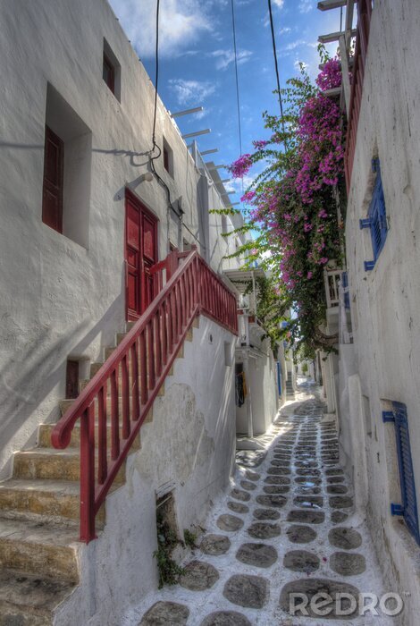 Fototapete Durchgang unter schönen Blumen