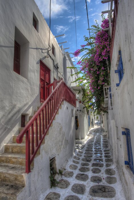 Fototapete Durchgang unter schönen Blumen