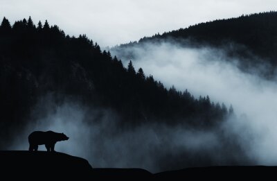 Fototapete Ein Bär vor einer Berglandschaft im Nebel