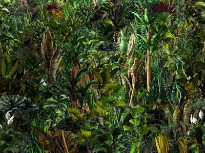 Fototapete Ein Besuch im Dschungel