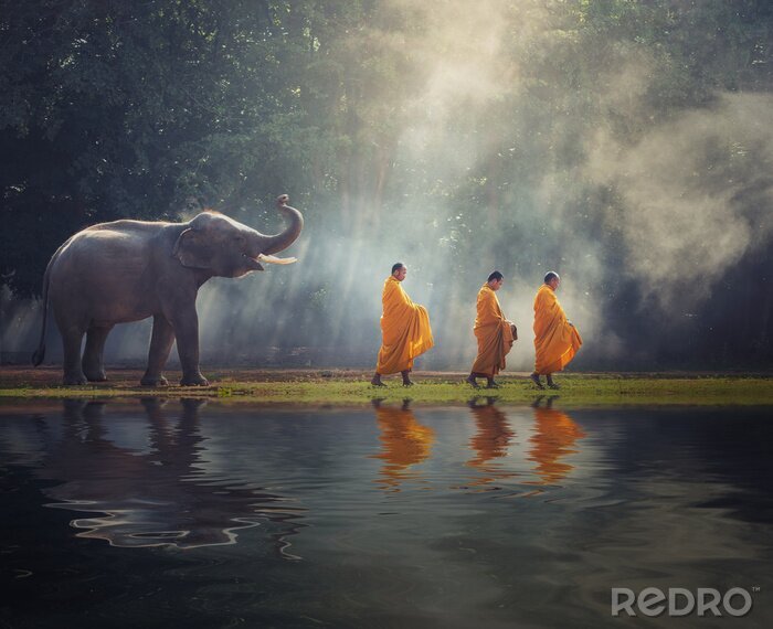 Fototapete Ein Elefant und drei Mönche