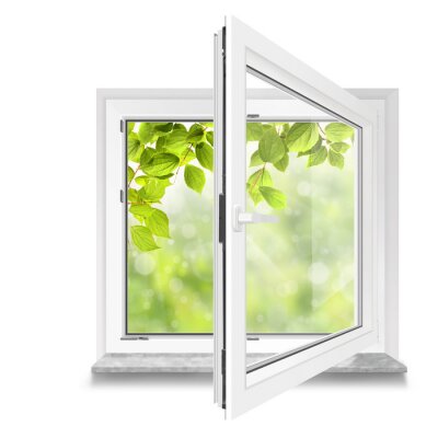 Fototapete Ein Fenster mit Blick auf grüne Blätter