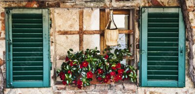 Fototapete Ein Fenster mit offenen Fensterläden