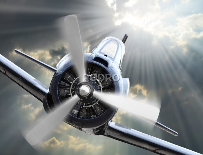 Fototapete Ein Kampfjet im Flug im Sonnenlicht