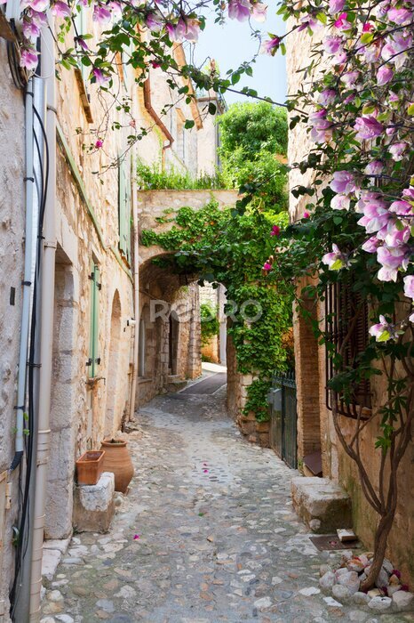 Fototapete Ein Spaziergang durch eine provenzalische Stadt