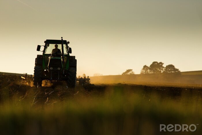Fototapete Ein Traktor bei Sonnenuntergang