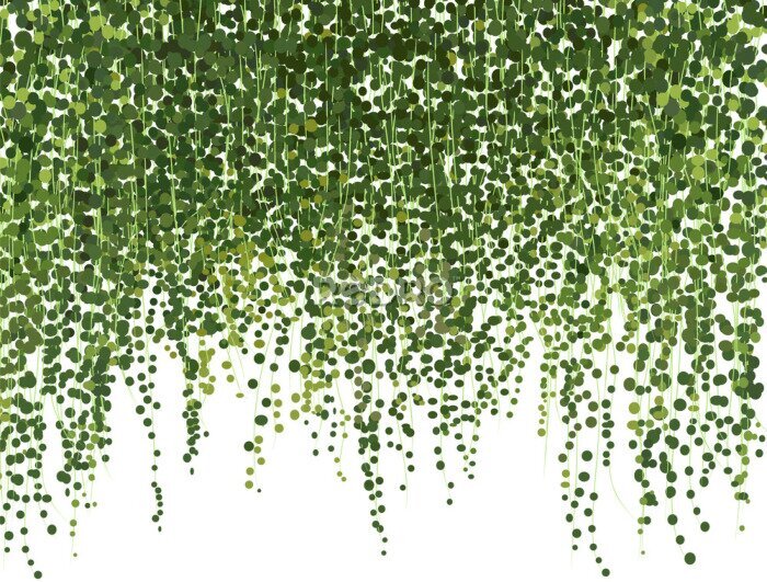 Fototapete Ein Vorhang aus winzigen grünen Blättern