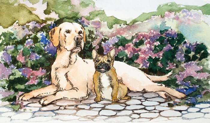 Fototapete Eine ausführliche Handzeichnung auf Papier. Helle Farben und helle Farben. Blühender Blumenhintergrund. Aquarell-Konzept. Tierisches Konzept