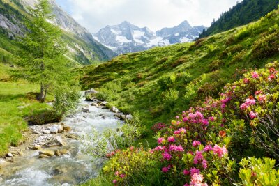 Fototapete Eine Berglandschaft mit einem Bach und rosa Blumen