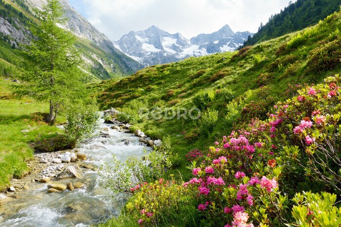 Fototapete Eine Berglandschaft mit einem Bach und rosa Blumen