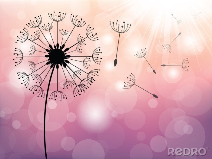 Fototapete Eine minimalistische Pusteblume auf rosa Hintergrund