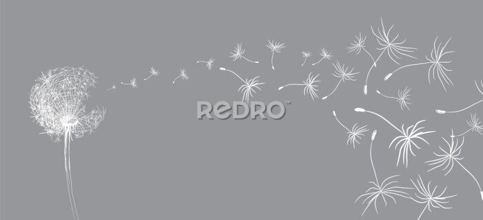 Fototapete Eine Skizze eines Löwenzahns, dessen Samen davonfliegen
