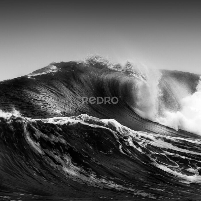 Fototapete Eine Welle auf einem Schwarz-Weiß-Foto