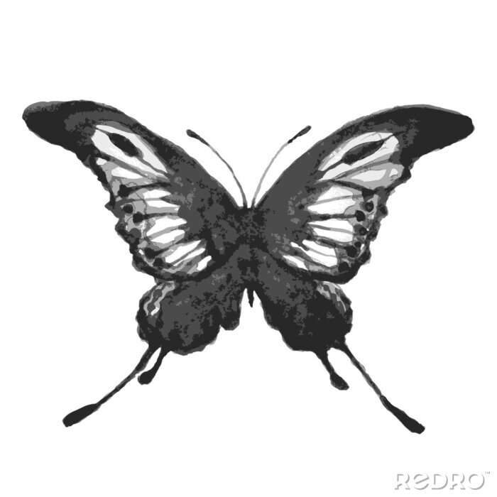 Fototapete Einfarbiger Schmetterling auf hellem Hintergrund
