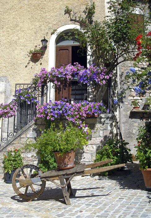 Fototapete Eingang mit violeten blumen