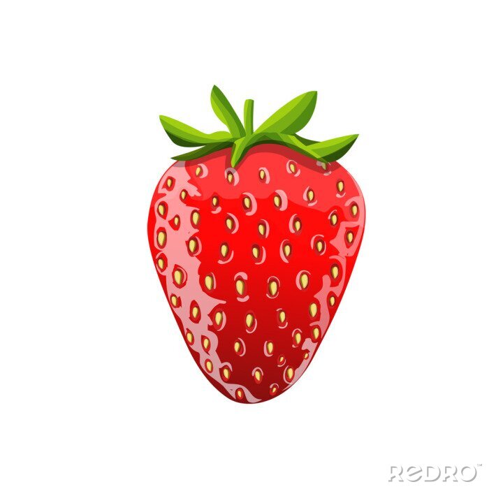Fototapete Einzelne Erdbeere auf weißem Hintergrund Grafik