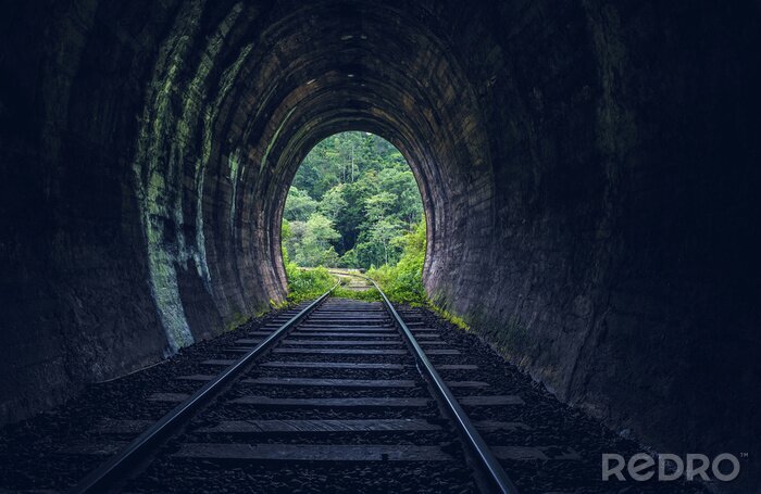 Fototapete Eisenbahntunnel im Wald