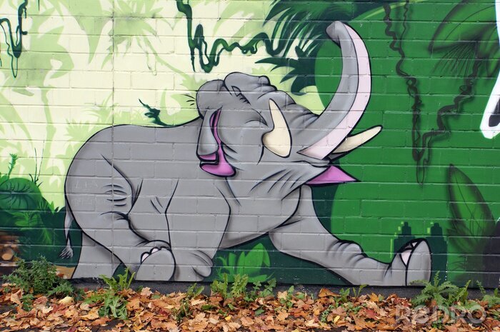 Fototapete Elefant auf Graffiti