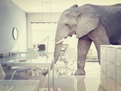 Fototapete Elefant im Büroraum